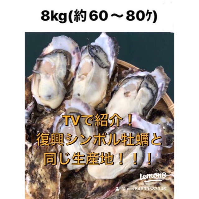 焼きかき＜初出店価格＞三陸産殻付きプリプリ生牡蠣　生食可能　8kg 産地直送