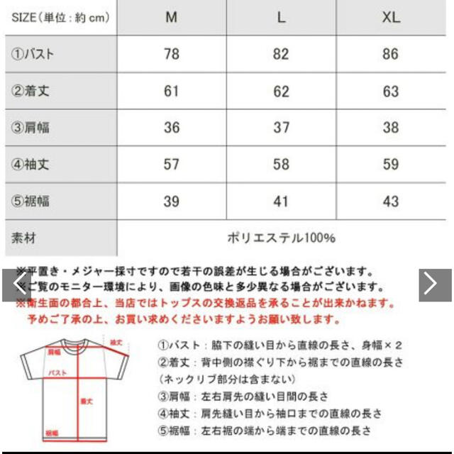 2wayメロープリーツハイネックトップス レディースのトップス(カットソー(長袖/七分))の商品写真