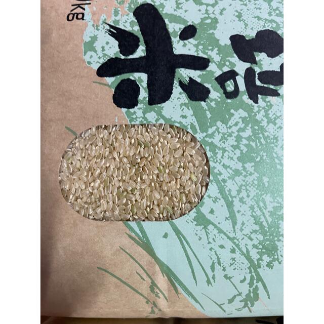 2022年産ヒノヒカリ玄米20 ｋｇ 【送料無料】 食品/飲料/酒の食品(米/穀物)の商品写真