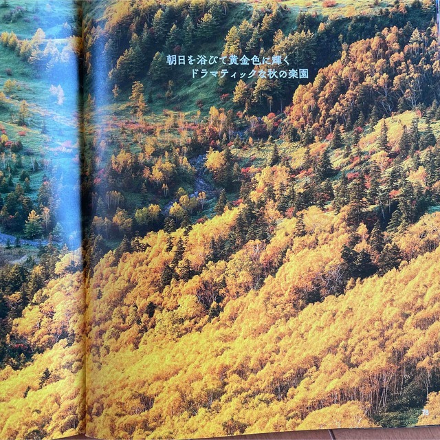 一度は行きたい！紅葉絶景首都圏版 ２０１８ エンタメ/ホビーの本(地図/旅行ガイド)の商品写真