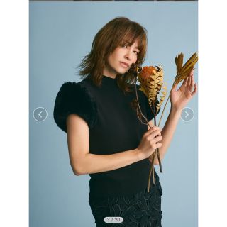 CELFORD - ショートファースリーブニットプルオーバー