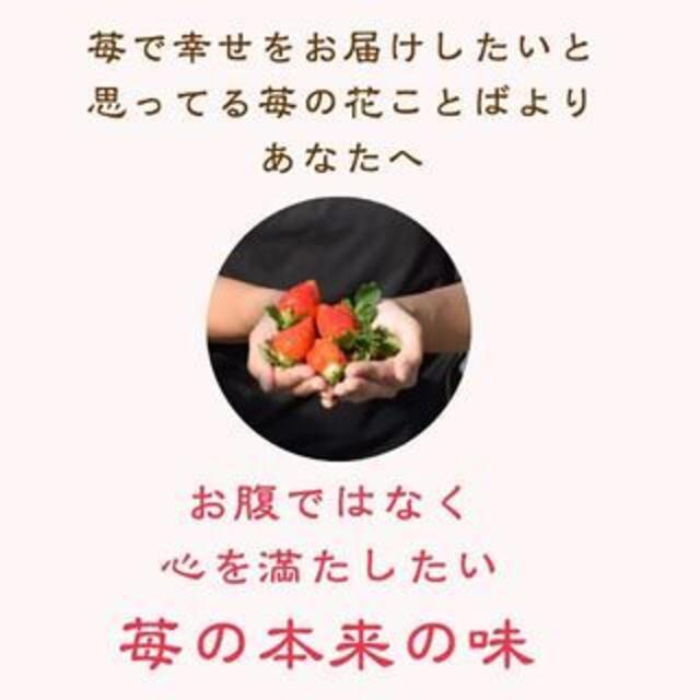 国産無添加冷凍いちご越後姫約1000g×4個合計4kgおまけの苺アイス付き