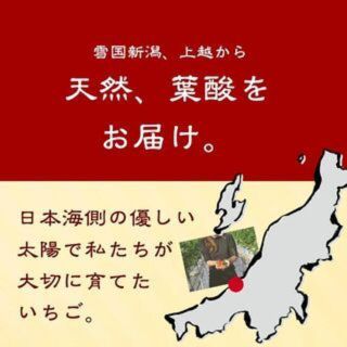 国産無添加冷凍いちご越後姫約1000g×4個合計4kgおまけの苺アイス付き