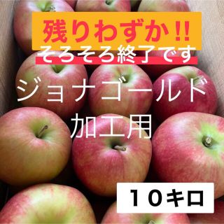 青森りんご　ジョナゴールド　加工用　１０キロ(フルーツ)