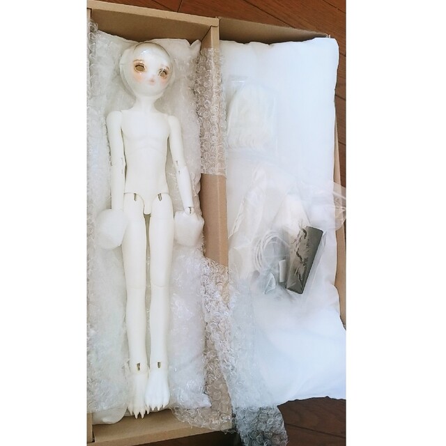 【DOLK×DEAR MINE】ARTHUR L. 文豪 Limited 文豪猫
