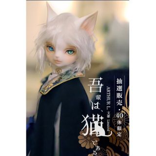 【DOLK×DEAR MINE】ARTHUR L. 文豪 Limited 文豪猫の通販 by