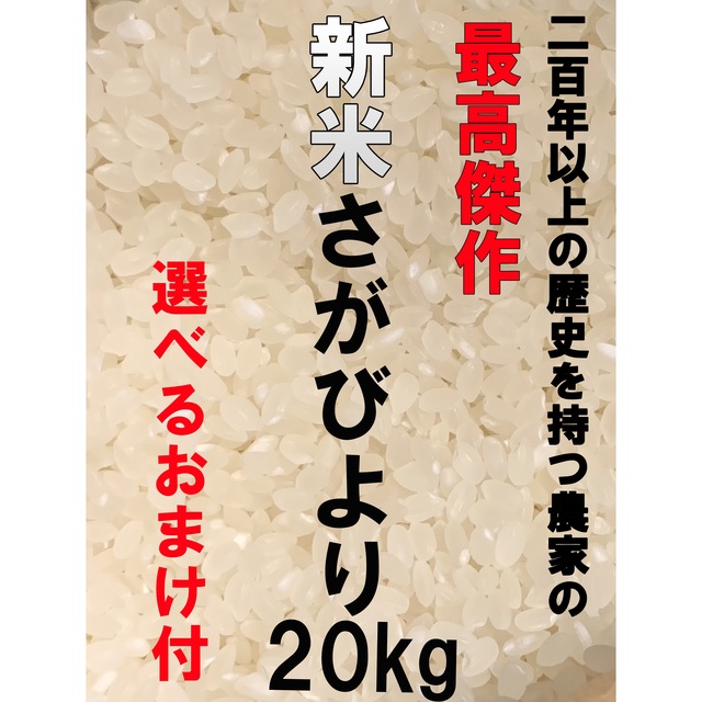 米/穀物【選べるおまけ】他とは違う超こだわりの逸品！ 200年農家のさがびより20kg