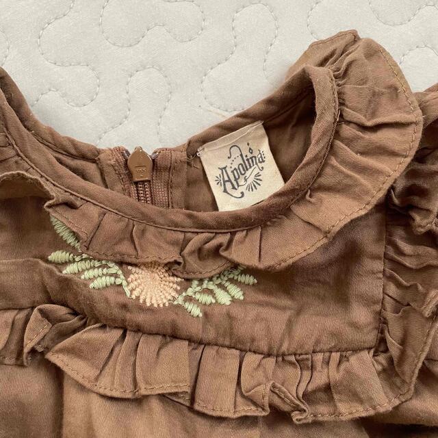 Apolina 2-3y www.pegasusforkids.com