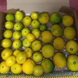 朝採り無農薬 黄色柚子&早採り金柑 1kg(フルーツ)