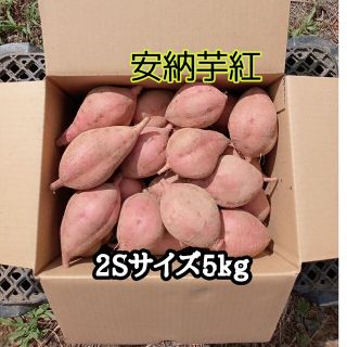 安納芋紅2Sサイズ5kg(種子島産)(野菜)