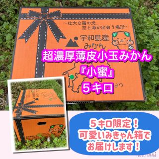 小蜜　５キロ限定みきゃん箱　超濃厚　小玉みかん　早生みかん(フルーツ)