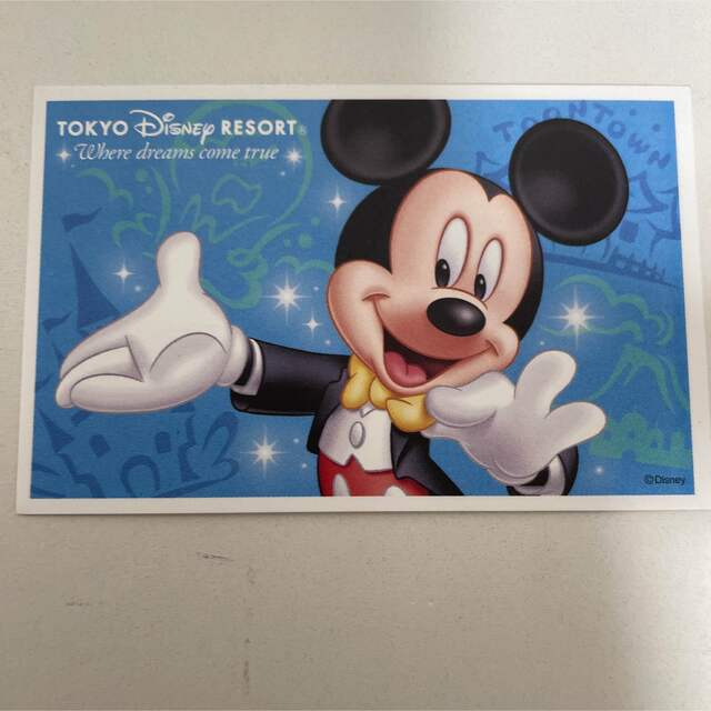 Disney(ディズニー)のディズニーシーパークチケット　リゾートライン　使用済み チケットの施設利用券(遊園地/テーマパーク)の商品写真