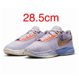 ナイキ(NIKE)のNIKE LEBRON XX EP  28.5cm  レブロン20 新品 (スニーカー)