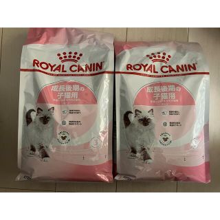 ロイヤルカナン(ROYAL CANIN)のROYAL CANIN ロイヤルカナン キャット　キトン 成長後期子猫用(ペットフード)