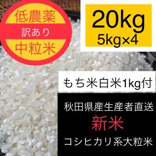 新米◉訳あり中粒米白米20kg (5kg×4)【コシヒカリ系大粒米】