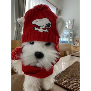 ピーナッツ(PEANUTS)の犬用 ニット帽子マフラー(犬)