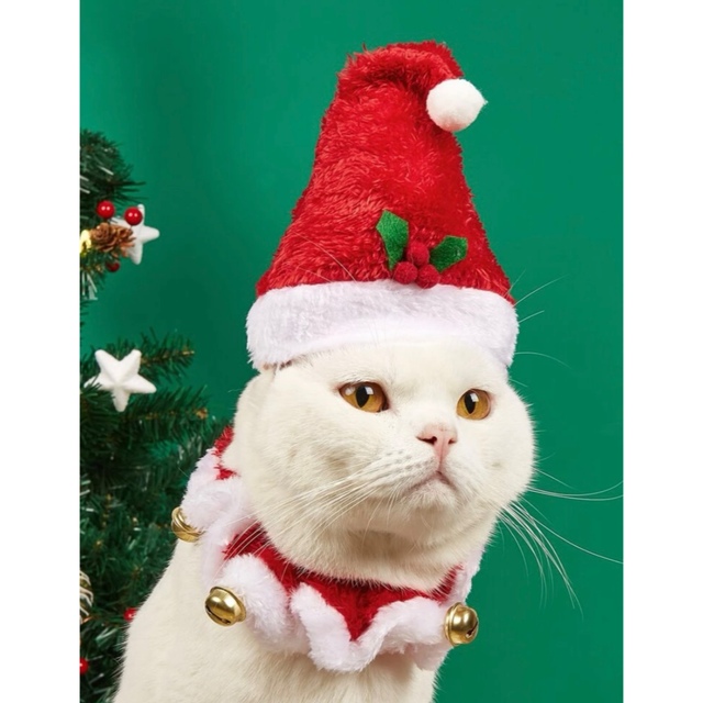 ペット用クリスマスハット&首輪セット その他のペット用品(猫)の商品写真