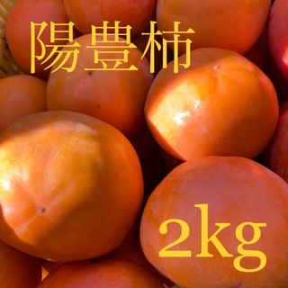 陽豊柿　２ｋｇ(フルーツ)