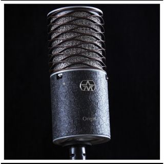 Aston Origin Black Bundle 限定モデル ほぼ新品 楽器/器材 ...