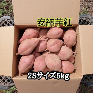 安納芋紅2Sサイズ5kg(種子島産)(野菜)