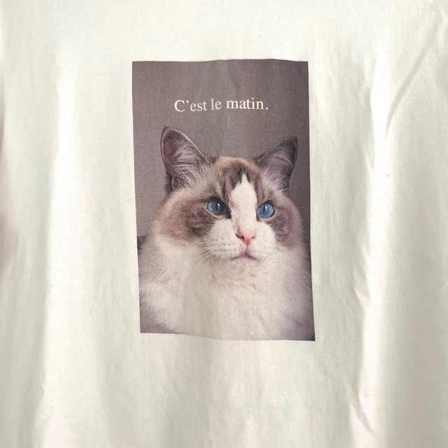 NATURAL BEAUTY BASIC(ナチュラルビューティーベーシック)の猫ちゃんプリントT メンズのトップス(Tシャツ/カットソー(半袖/袖なし))の商品写真