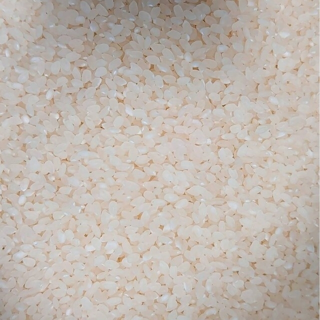 お米 ひとめぼれ【令和4年産】精米済み 20kg(5kg×4)の通販 by お米 ひとめぼれ【令和4年産】精米済み 20kg(5kg×4)の通販 by