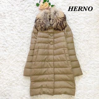 ヘルノ(HERNO)の【最高級】HERNO　カシミヤシルク　ロングダウンコート　ラクーンファー　42(ダウンコート)