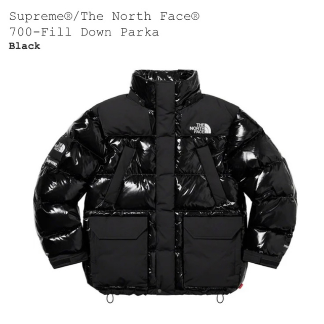 Supreme North Face 700-Fill Down Parka