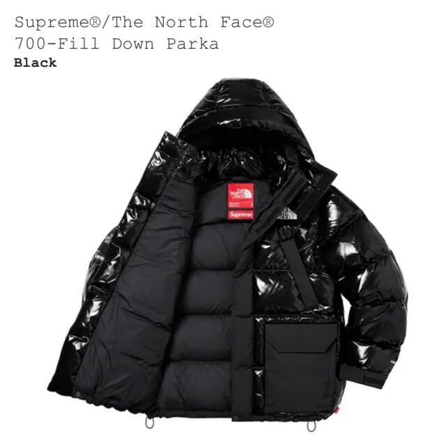 Supreme North Face 700-Fill Down Parka