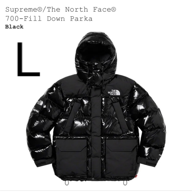 Supreme/North Face 700-Fill Down Parka | monsterdog.com.br