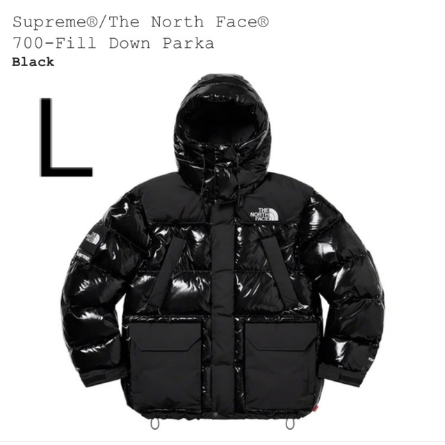 Supreme North Face 700-Fill Down Parka