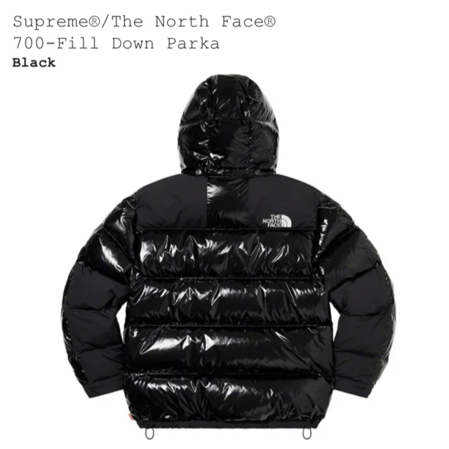 Supreme North Face 700-Fill Down Parka