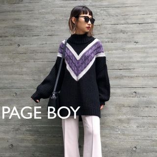 ページボーイ(PAGEBOY)のPAGEBOY モードチルデンニット 美品(ニット/セーター)