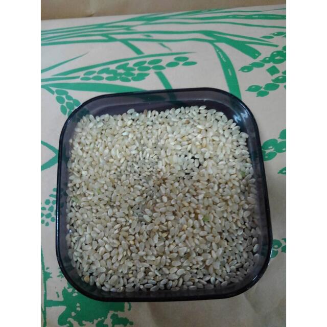 米/穀物令和4年　新米　キヌヒカリ30kg