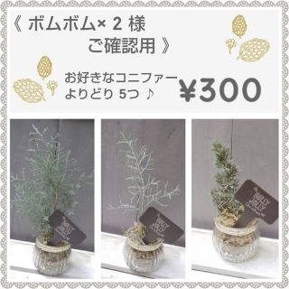 《 ボムボム × 2  様 ご確認用》       ¥300(その他)