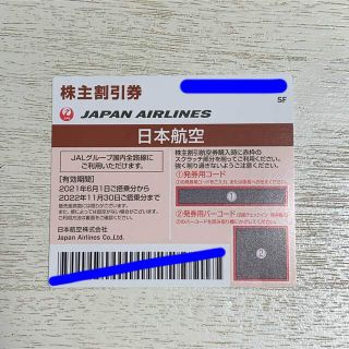 JAL(日本航空) - JAL(日本航空)株主割引券 1枚