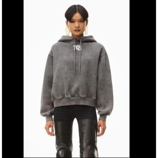 アレキサンダーワン(Alexander Wang)のアレキサンダーワン　ロゴ　フーディー　グレー(トレーナー/スウェット)