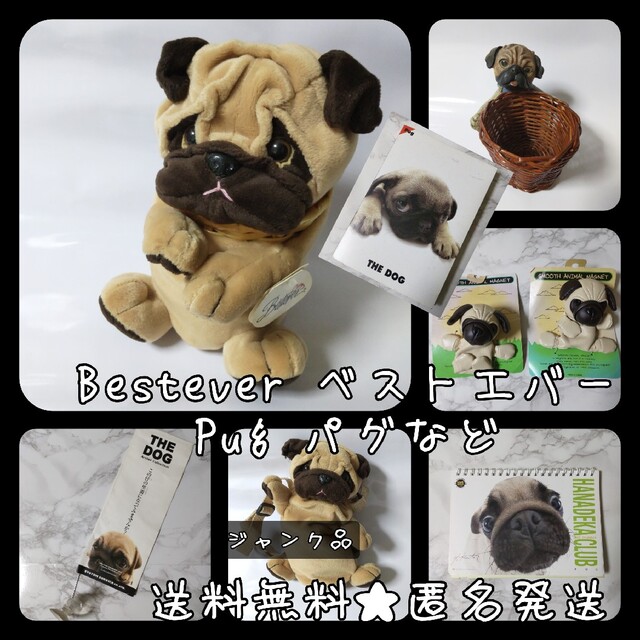 レア！ Bestever ベストエバー Pug パグの商品など【ヴィンテージ】インテリア小物