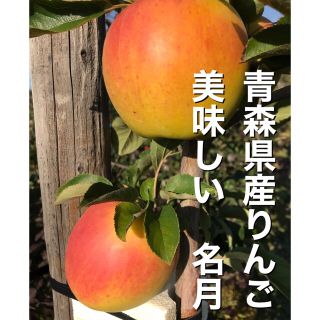 青森県産りんご　名月　歯応えあり　美味しく(フルーツ)