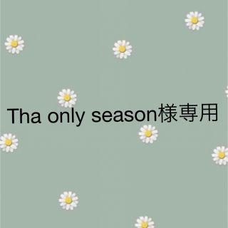 Tha only season様専用(ドライフラワー)