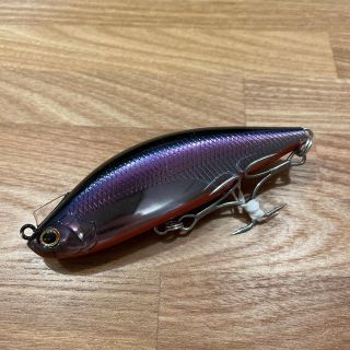 レイジーファシャッド 100S