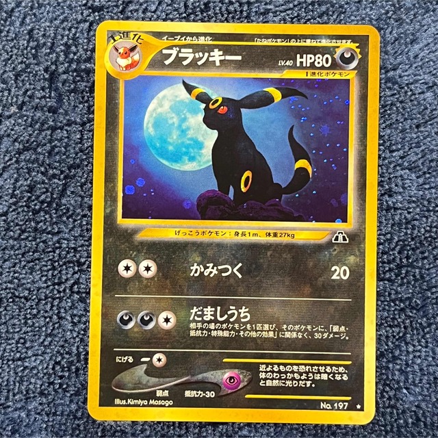 PSA10 ブラッキー ポケモンカード neo 旧裏 旧裏面 プレミアムファイル