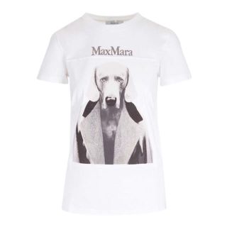 マックスマーラ(Max Mara)の新品未使用マックスマーラMax Mara☆大人気コットンTシャツ(Tシャツ(半袖/袖なし))