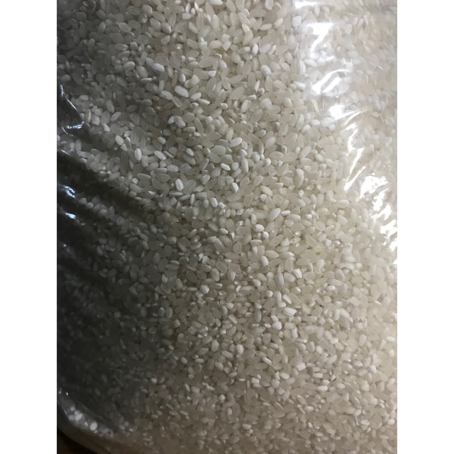 【数量限定】大特価セール!コスパ米20kg(5kg×4袋) 新米 お米 白米