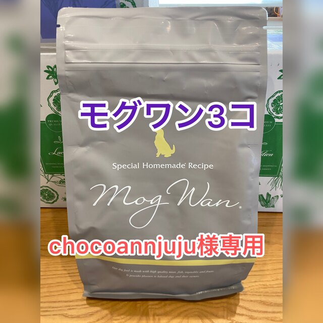 chocoannjuju様専用 その他のペット用品(犬)の商品写真