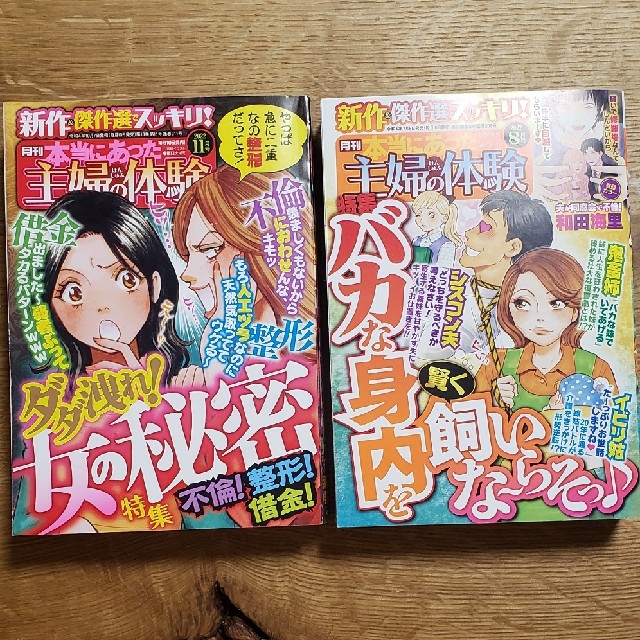 ★レディースコミックマンガ 2022年9~10月6冊 エンタメ/ホビーの漫画(女性漫画)の商品写真
