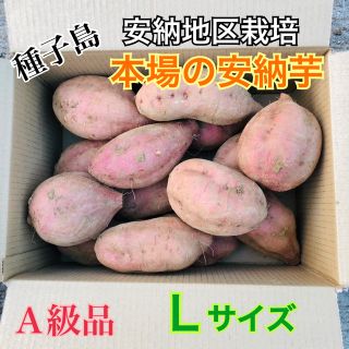 mi-yan様専用！L×2 農家直送！安納地区の安納芋　L(野菜)