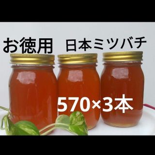 お徳用 日本ミツバチ 蜂蜜 (570g×3本)(その他)