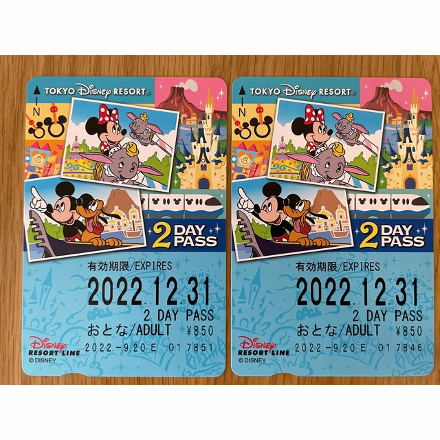 Disney(ディズニー)のディズニーリゾートライン2DAYパス　2枚 チケットの施設利用券(遊園地/テーマパーク)の商品写真