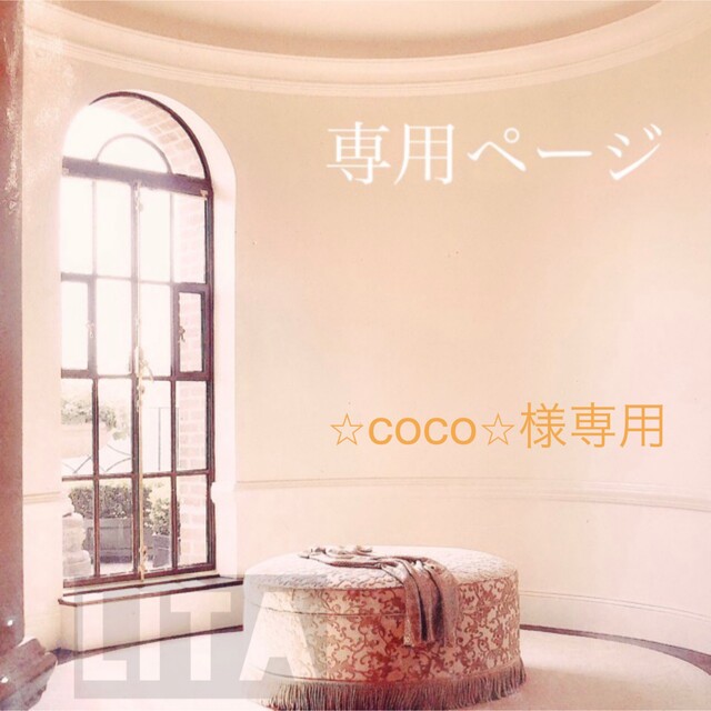 新品正規店通販 ⭐︎coco⭐︎様専用です₊⁎⁺˳✧༚ | vixan.no